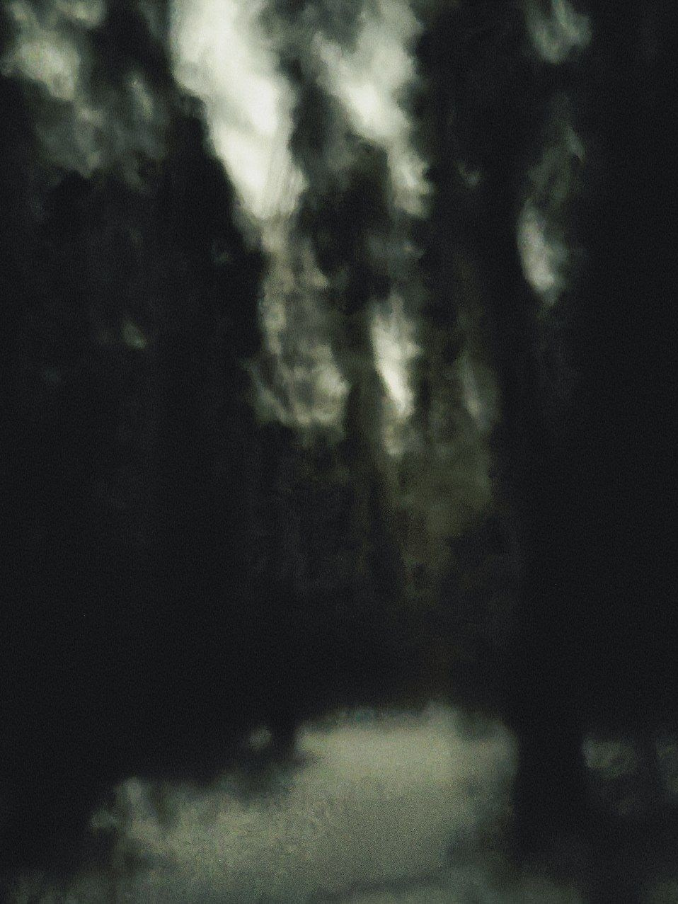 Street/travel. Sveti Sveta • визуальный артист Светлана Дубских