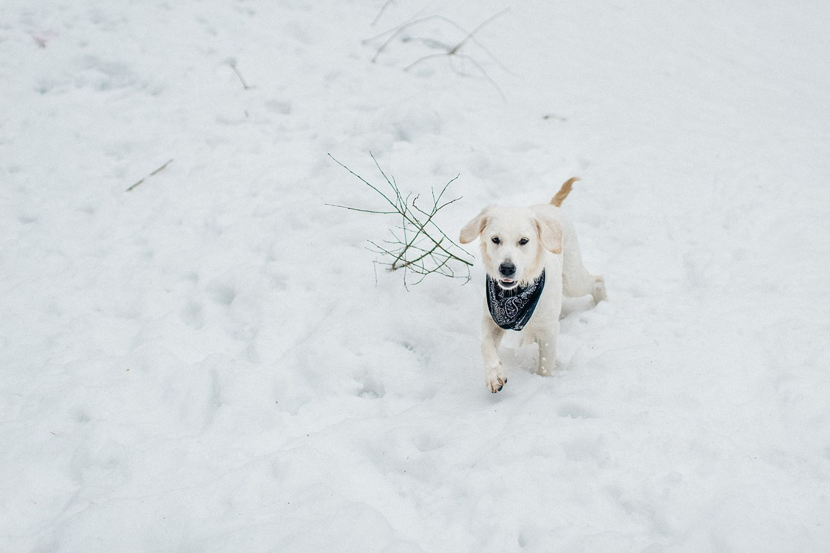 ШАНТИ и СЕМЬЯ. Свадебный и семейный фотограф РИТА БОЧКАРЁВА