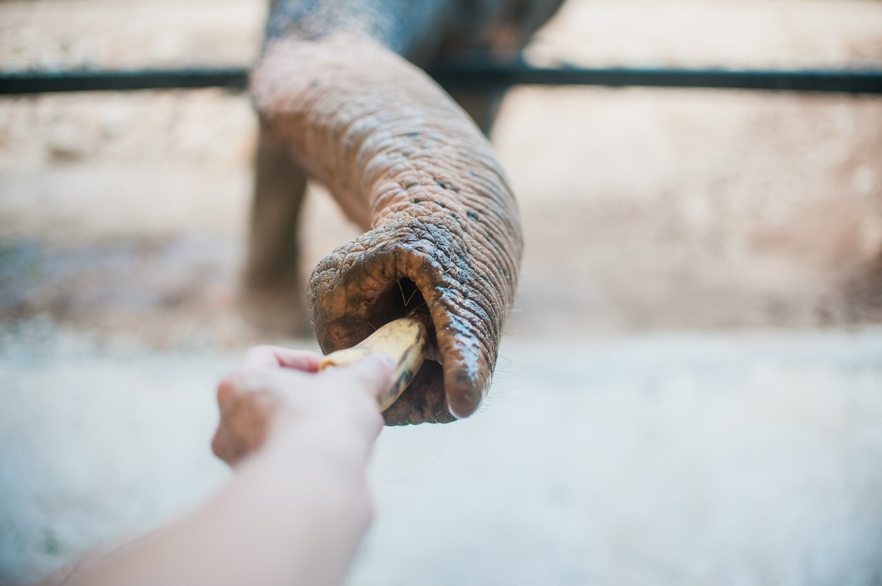 МОЙ 2014. Фотограф