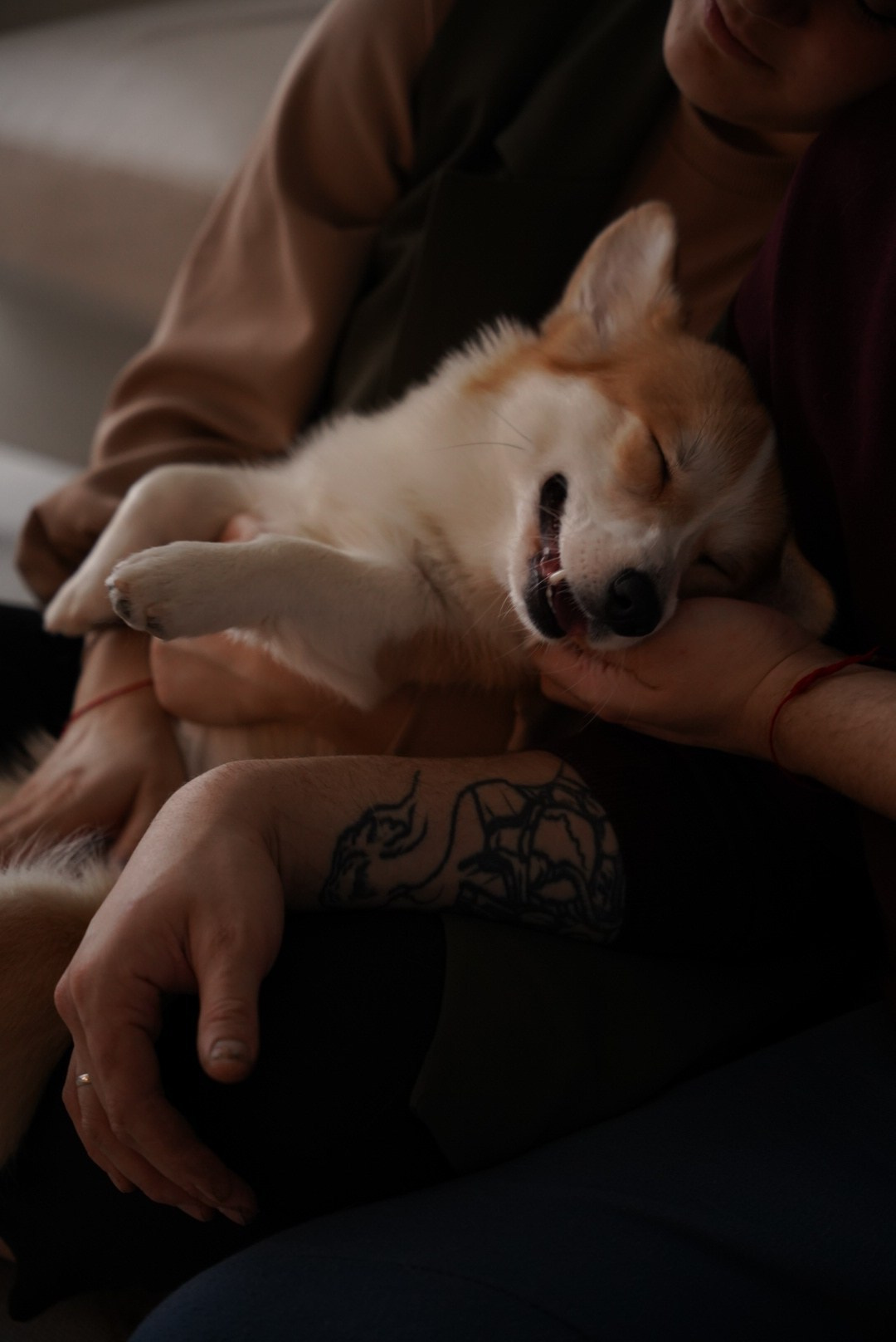 Лучший свадебный фотограф в Архангельске