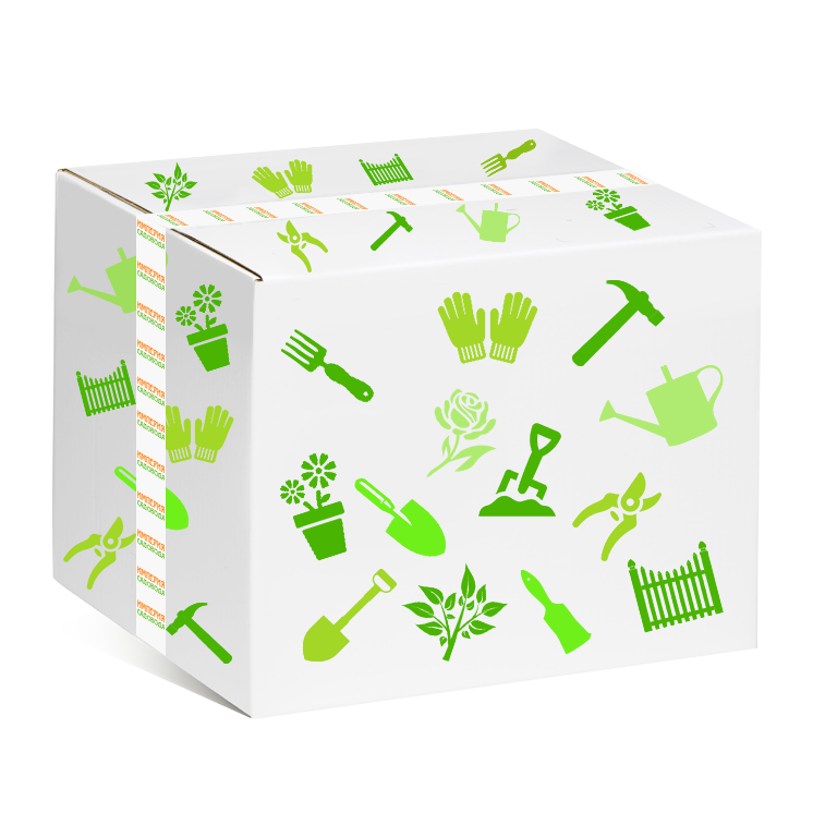 Полиграфия. Дизайнер Шульгина Наталья