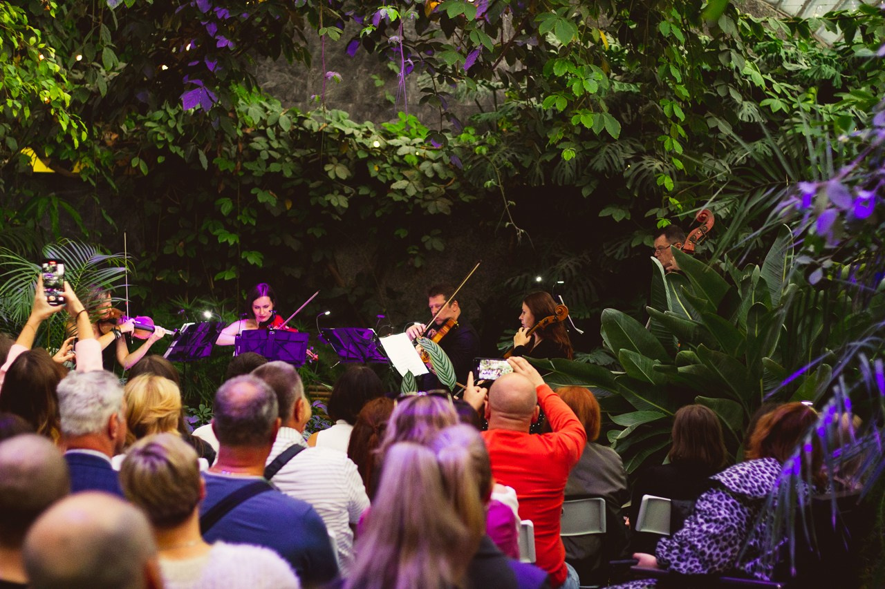 Petro Art — квартет в Таврическом саду (Рок Хиты). EvgenyCraft