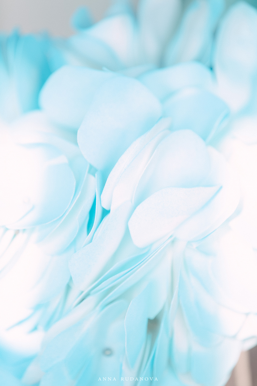 Детская фотосессия | Фотограф Анна Руданова