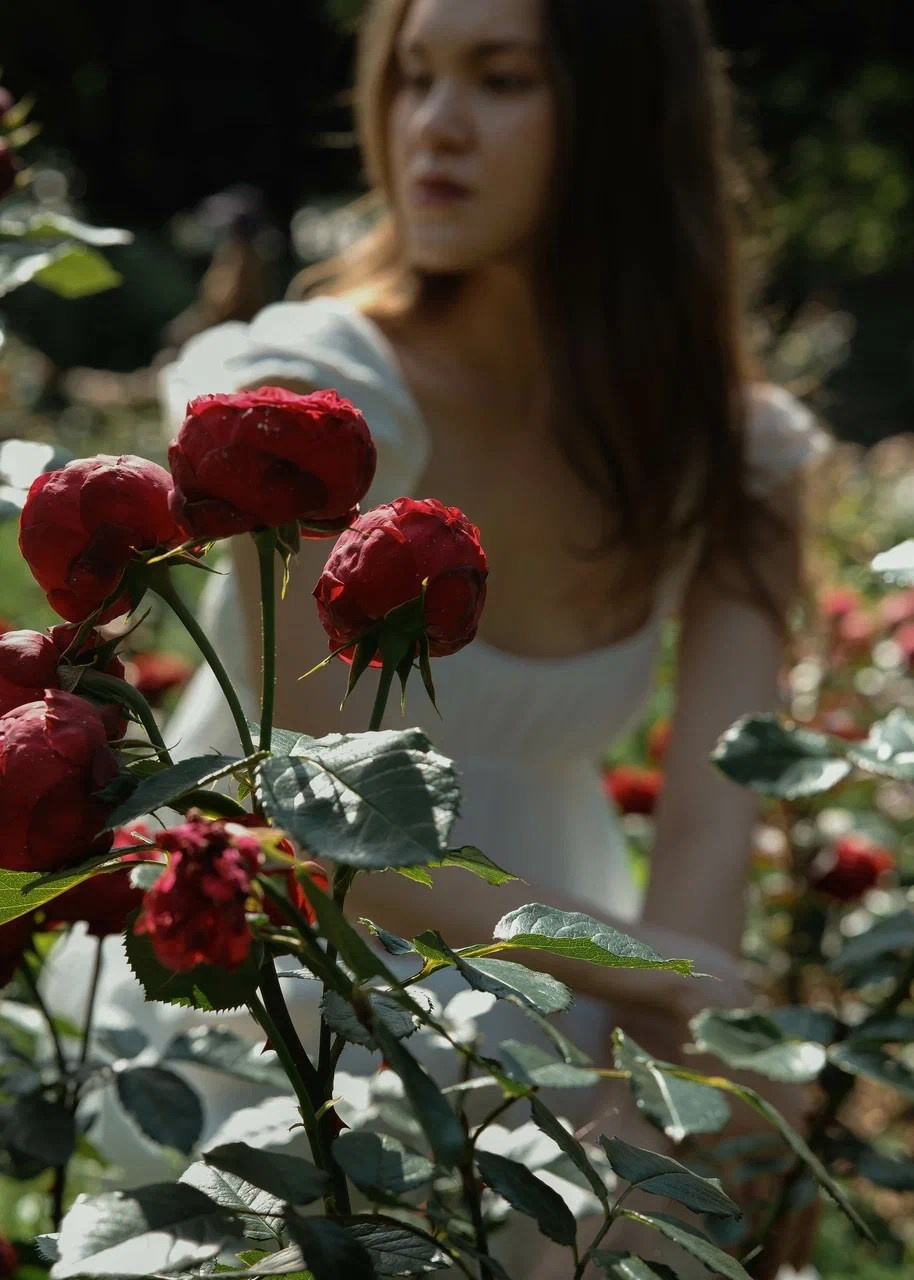 Street. Фотограф Москва Травка Ирина