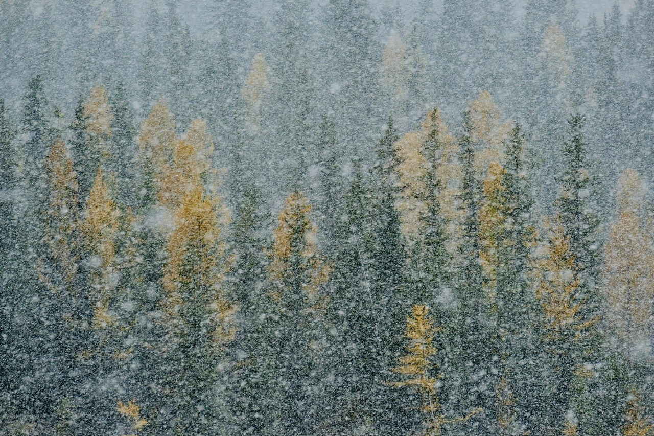 Алтай. Фотограф Евгений Андреев