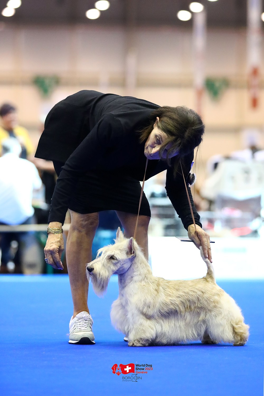 24-27.08.2023 WDS Geneva. Фотограф Дмитрий Бородин