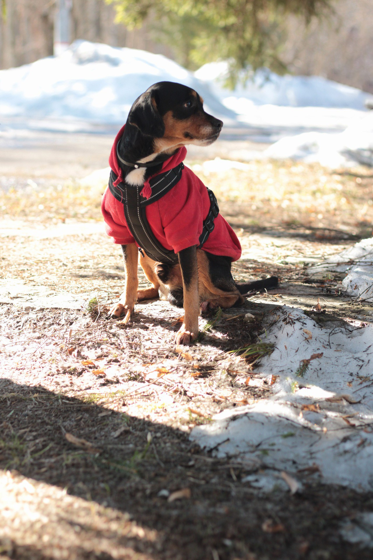 Маша и Кекс. Катя Попова|ЛайфСтайл фотограф