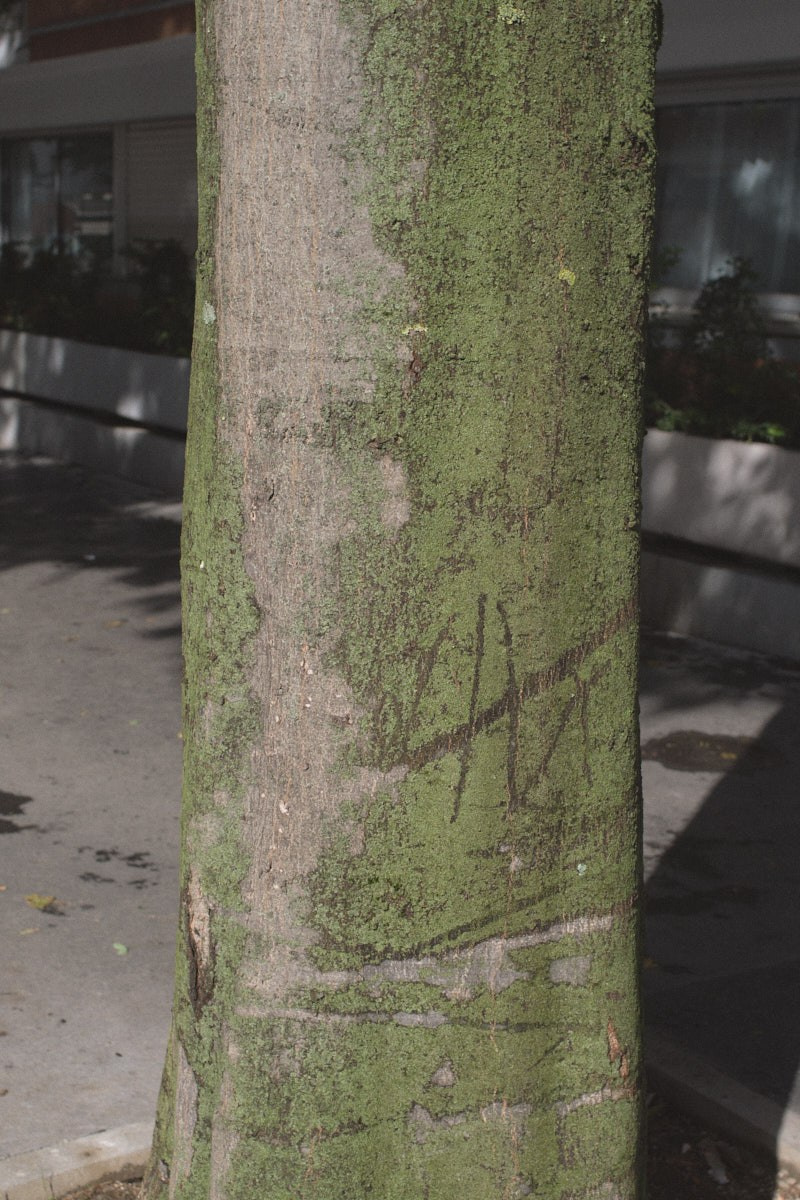 Showside. Eduard Savosin | Documentary & Portrait Photographer in Paris