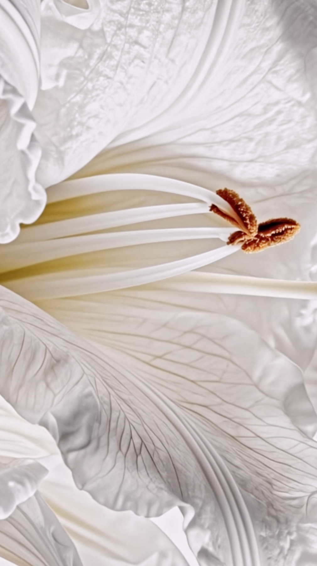 VERTICAL. Креативный продюсер и арт-директор в Санкт-Петербурге Марина Кадын