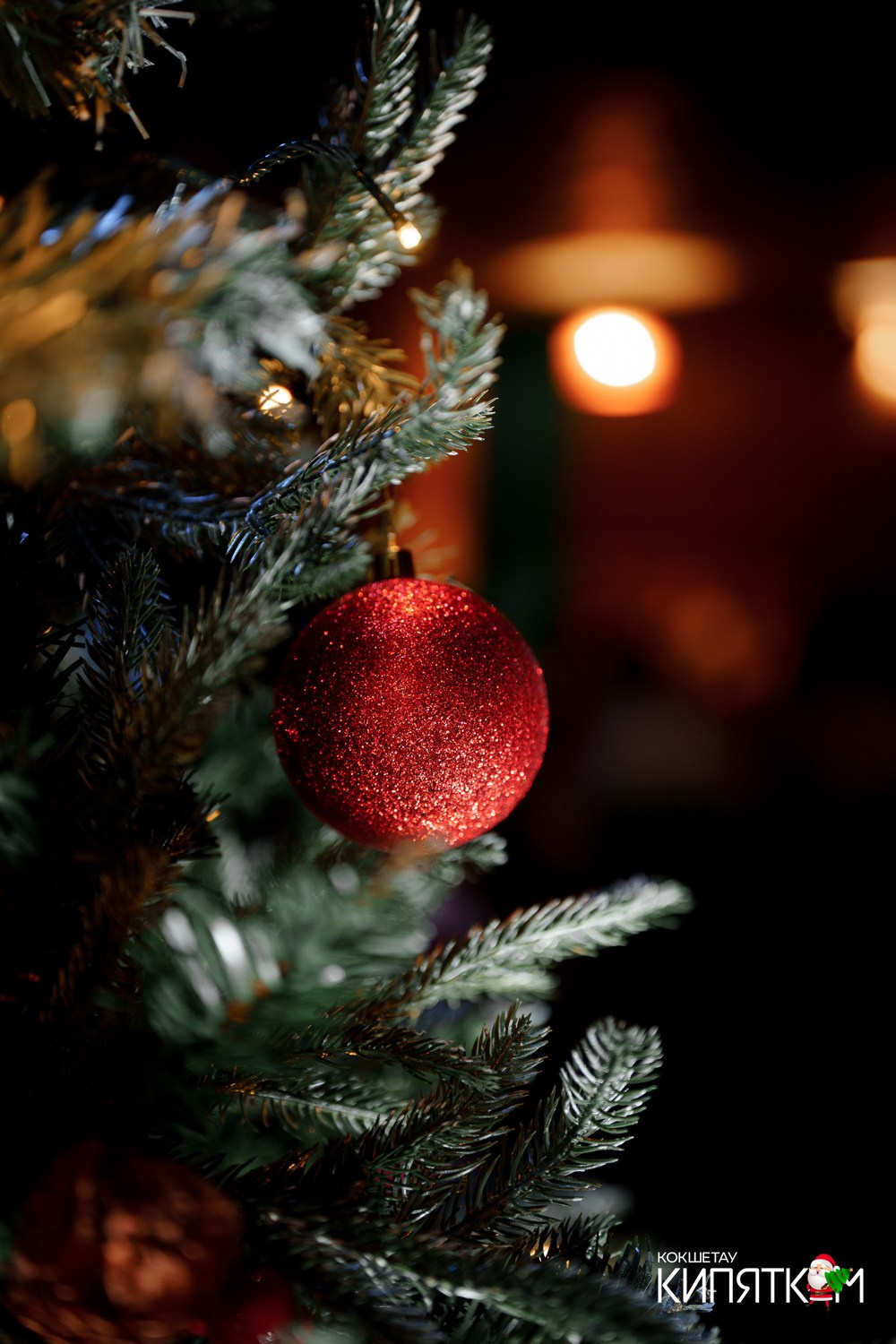 ШАШЛЫЧНЫЙ ДВОР. КИПЯТКОМ КОКШЕТАУ