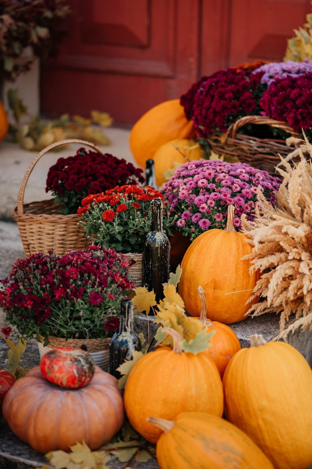 Отзывы. Семейный фотограф КМВ, Склярова Роксалана,