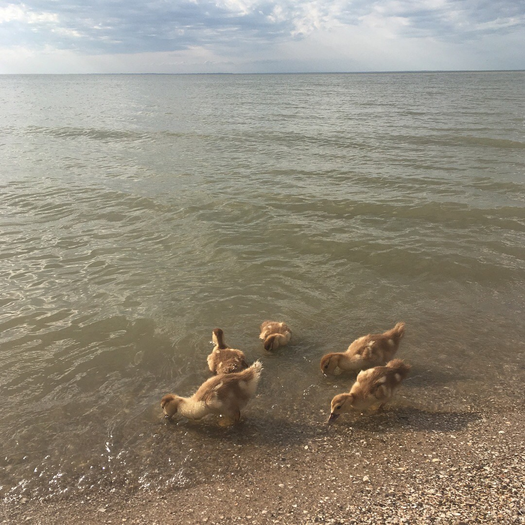 Азов -19. Своя Мастерская