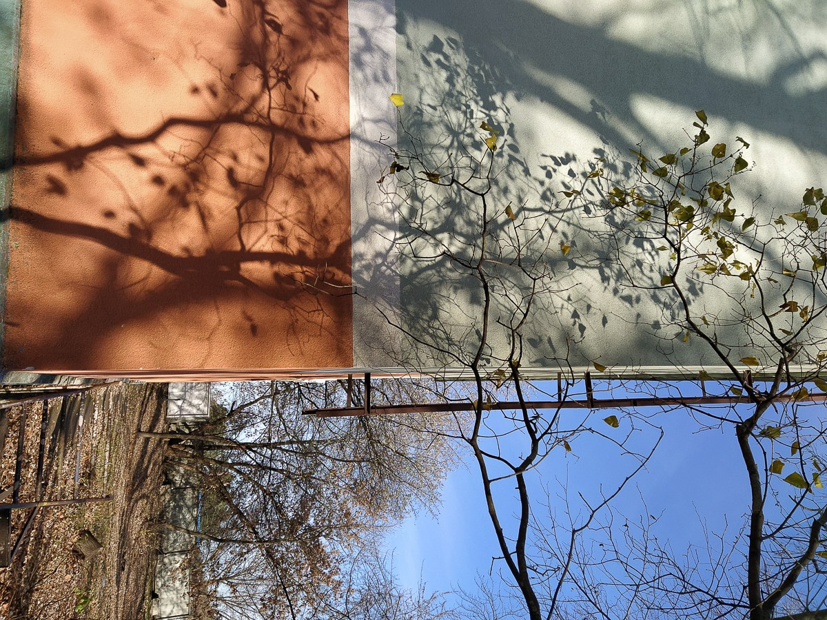 Бесшумная фотография. Tatyana Mazok творческий фотограф в Минске