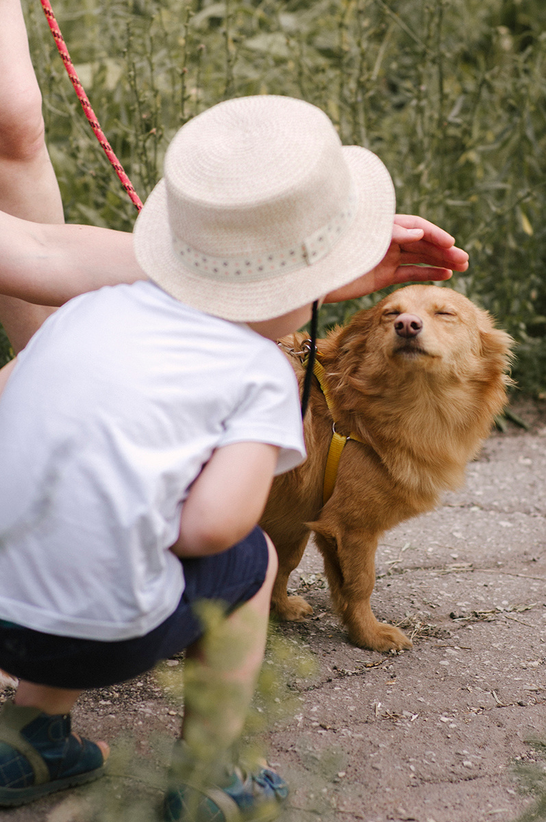 Вася, Алена и Степа. Фотограф Катерина Тюрина. Саратов