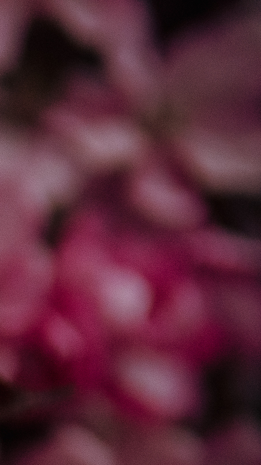 Обои на телефон. Семейный и детский фотограф в Москве