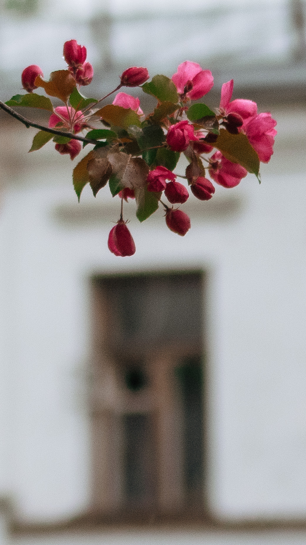 Обои на телефон. Семейный и детский фотограф в Москве