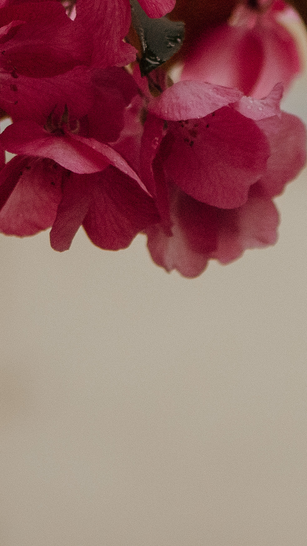 Обои на телефон. Семейный и детский фотограф в Москве