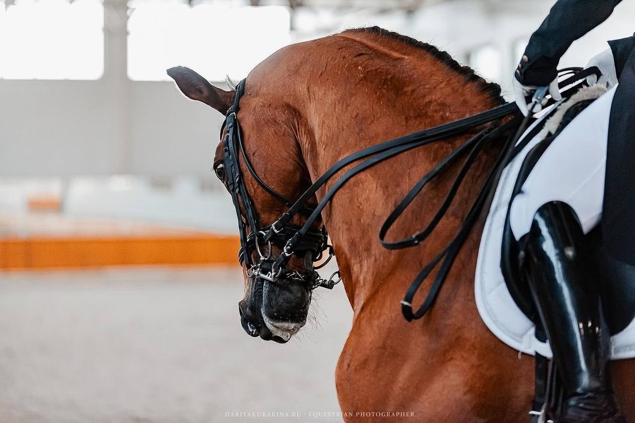 Весенний Бал в КСК «Конкорд». Конный фотограф Куракина Дарья • Фотосессии с лошадьми