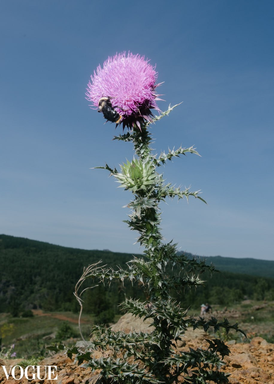 Галерея 1. Наталья Жукова. Курсы фотографии