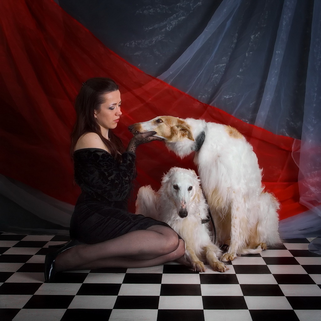 ретро фотосессия спб, фотосессия недорого спб, семейная фотосессия спб, детская фотосессия спб, фотосессия спб, фотостудия спб, фото крестины ребенка спб, семейный фотограф, семейное фото, деловой портрет, бизнес портрет, фотопрогулка, фотопрогулка спб, съемка с животными, съемка животных