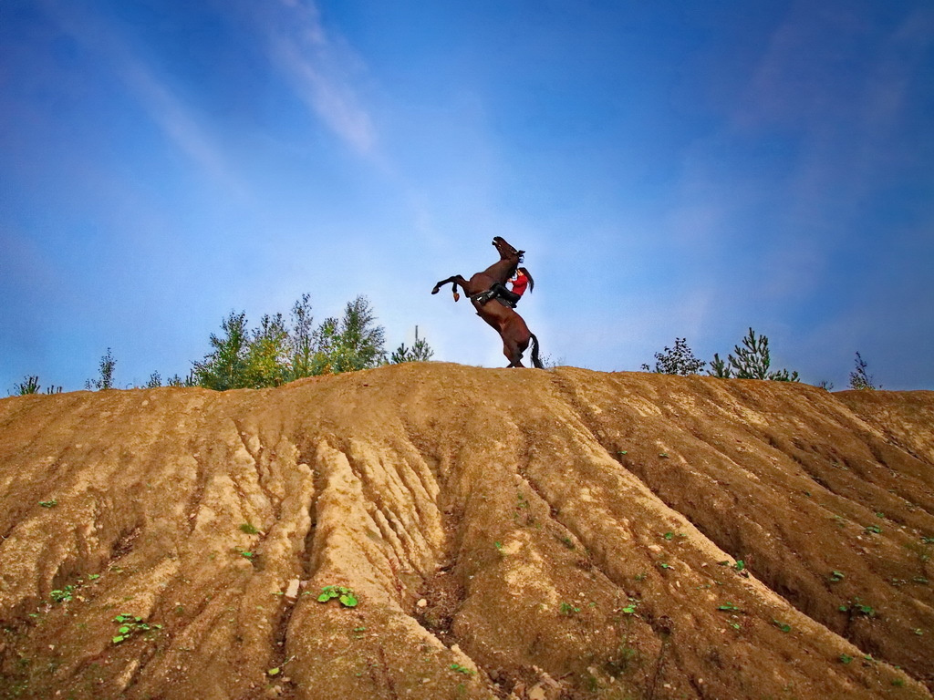 ретро фотосессия спб, фотосессия недорого спб, семейная фотосессия спб, детская фотосессия спб, фотосессия спб, фотостудия спб, фото крестины ребенка спб, семейный фотограф, семейное фото, деловой портрет, бизнес портрет, фотопрогулка, фотопрогулка спб, съемка с животными, съемка животных