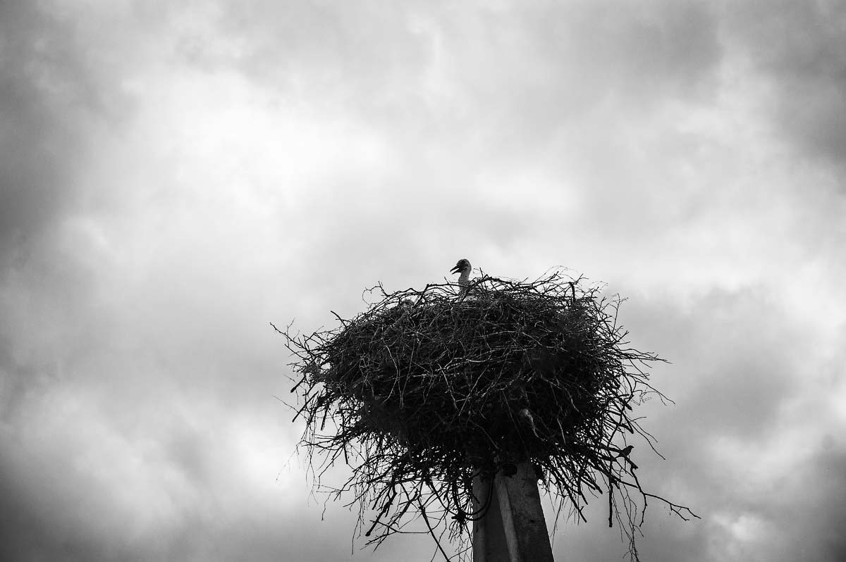 Жизнь деревенская. Фотограф Антон Швец — Монохромная реальность