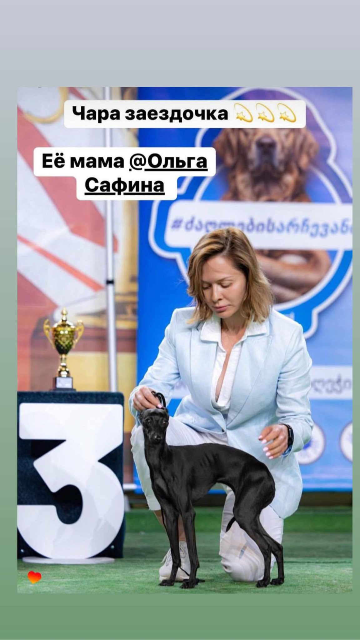 Итоги января. Профессиональный питомник левреток РКФ/FCI ASTI SAPPHIRE 💎 Сочи|Санкт-Петербург