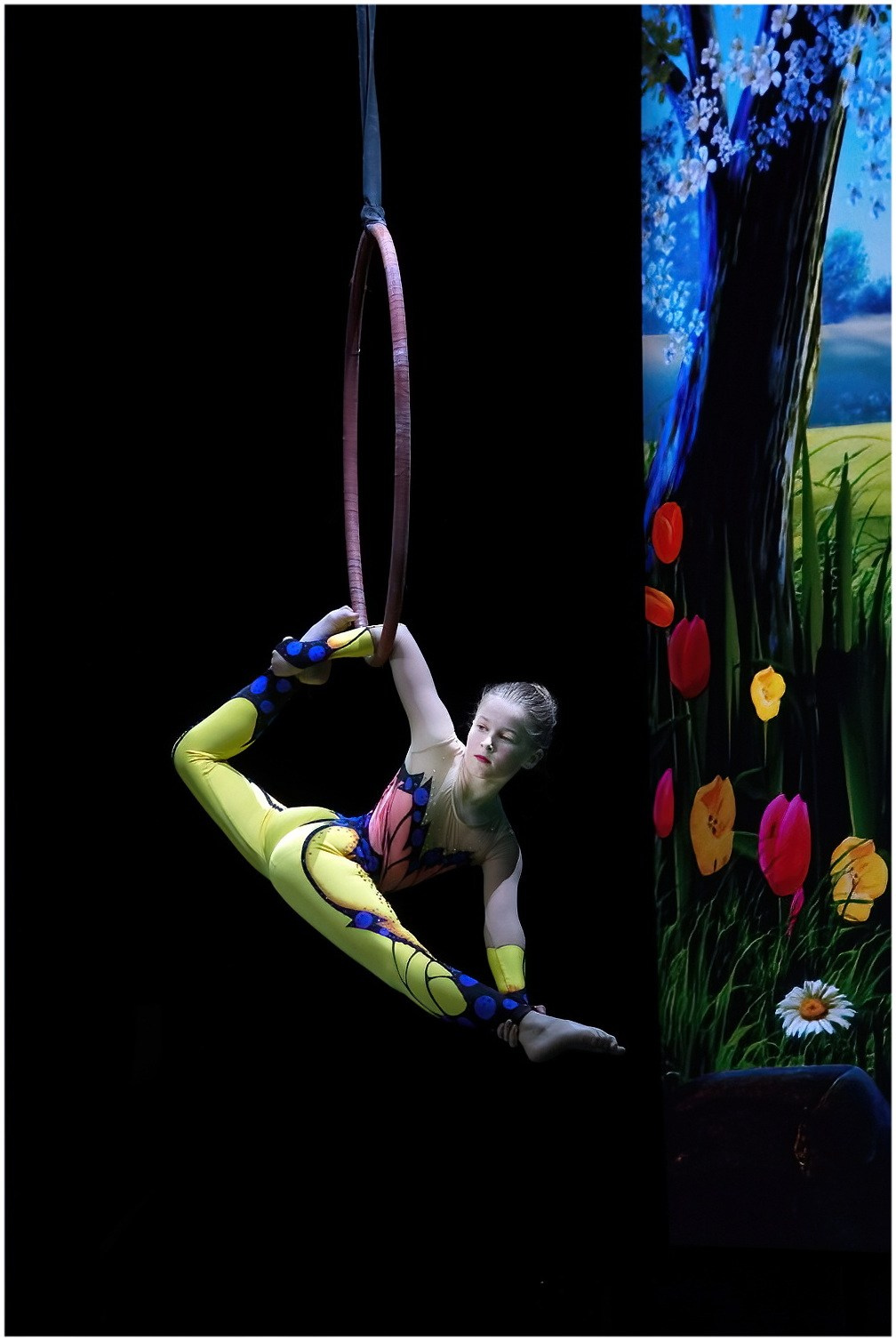 Фестиваль цирковых искусств и воздушной гимнастики «Империя талантов». Санкт-Петербург. Вадим Шейдин