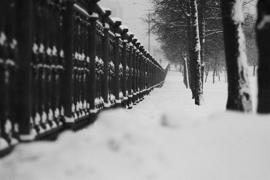 Композиция кадра. Семейный и свадебный фотограф в Майкопе Михаил Мартиросян