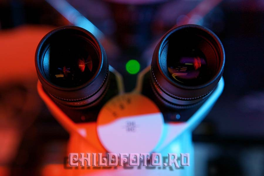 Институт Белка г. Пущино. Skazka.wfolio.pro