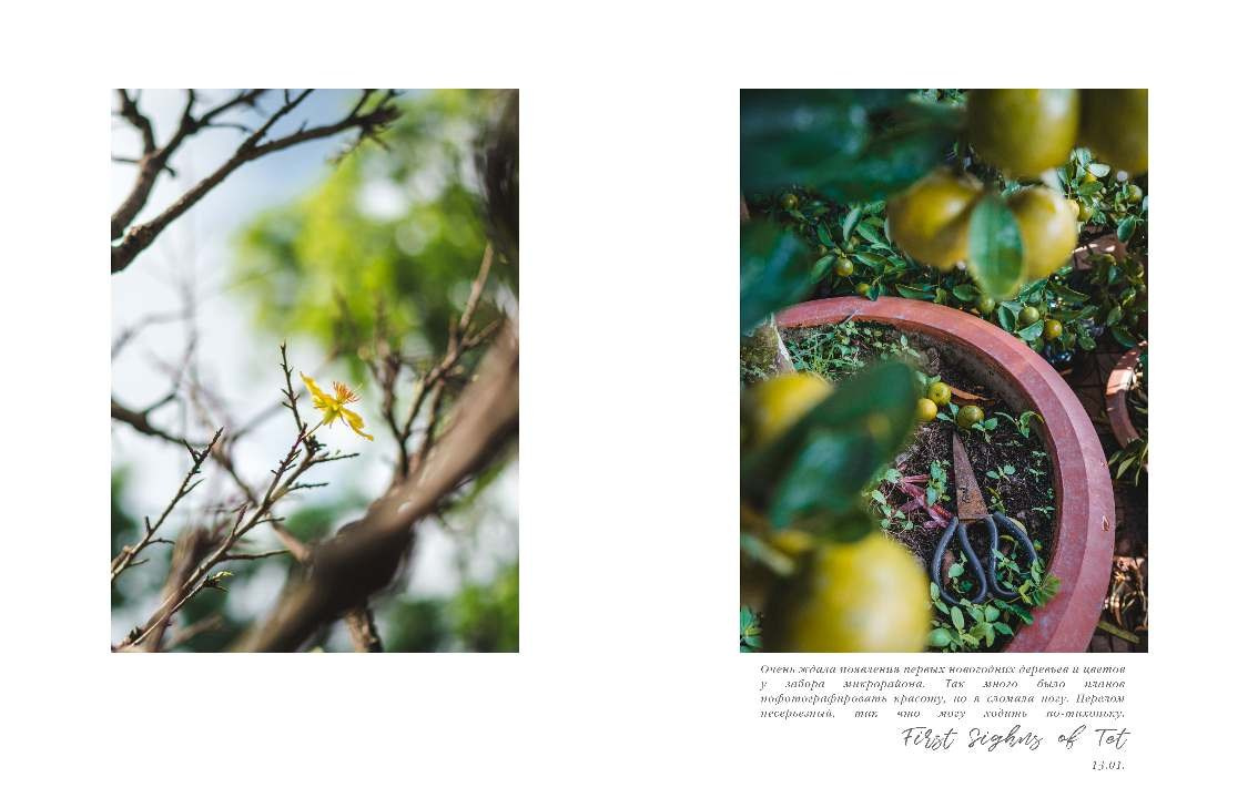 BEST FAMILY BOOK 2017