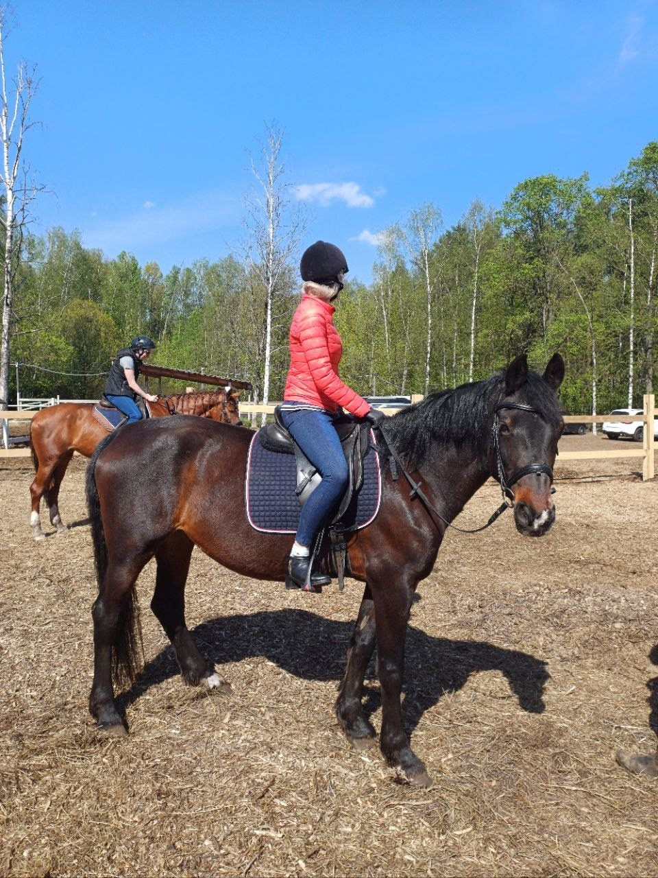 Лошадинг | 30.03.2024. Галерея Фантим