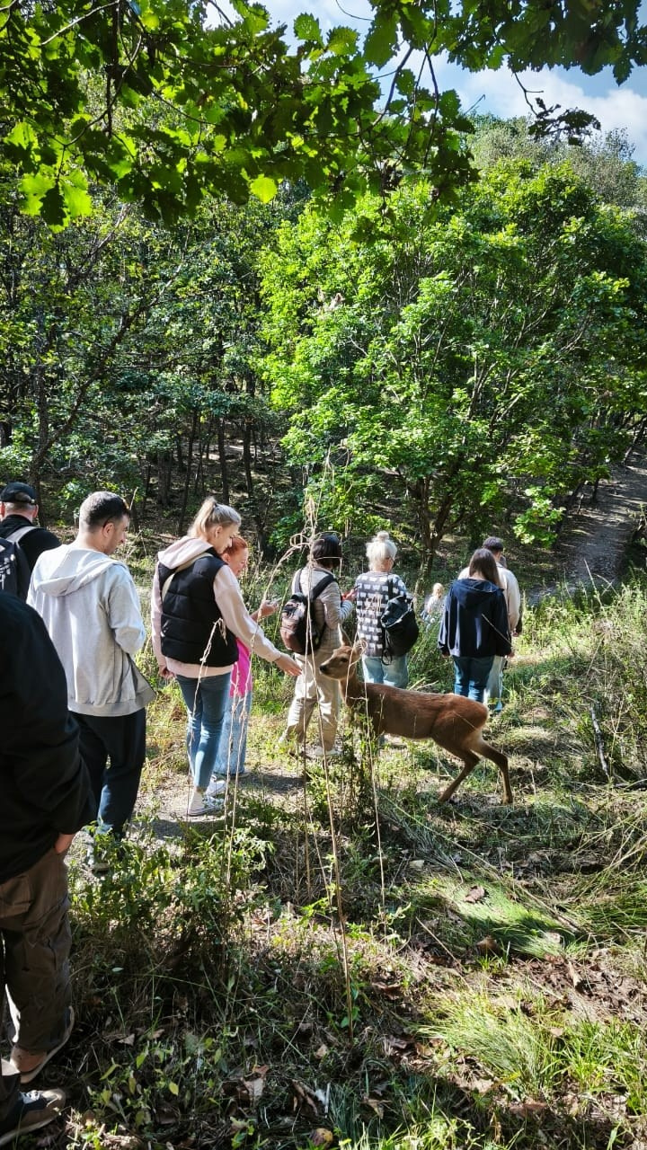 Владивосток 1 | 18-21.09.2025. Галерея Фантим