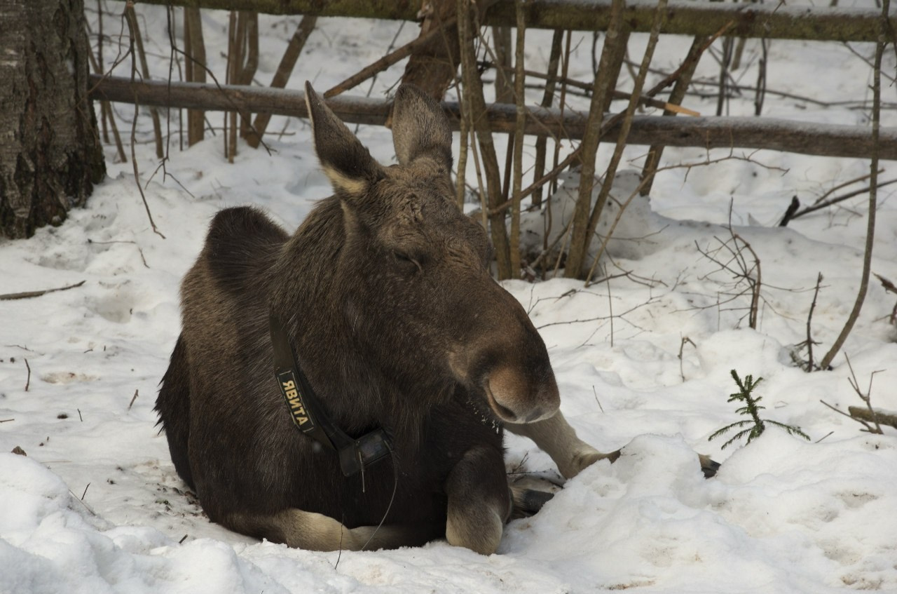 Кострома | 21-22.03.2015. Галерея Фантим