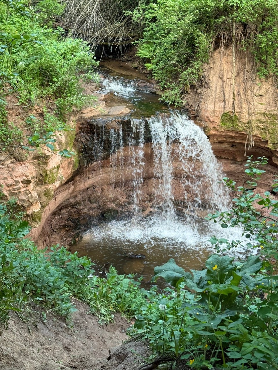 Ладога. Главная