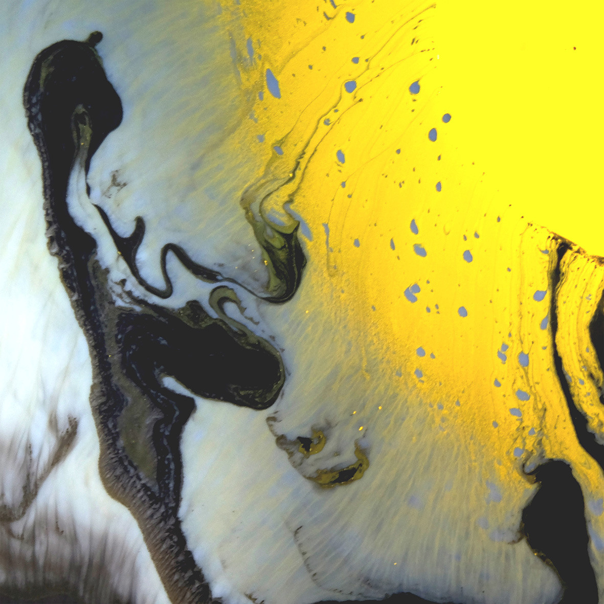 Природоведение. «ФотоСинтез»