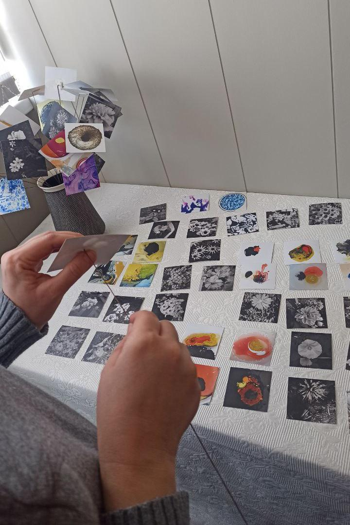 Природоведение. «ФотоСинтез»