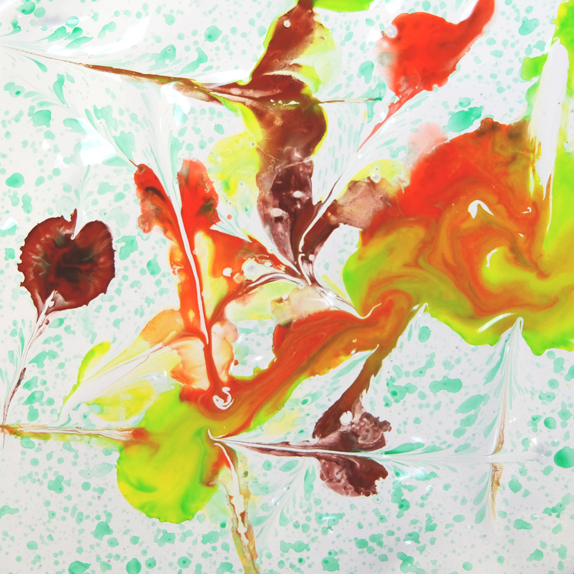 Природоведение. «ФотоСинтез»