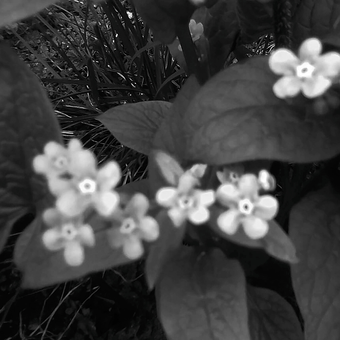 Природоведение. «ФотоСинтез»