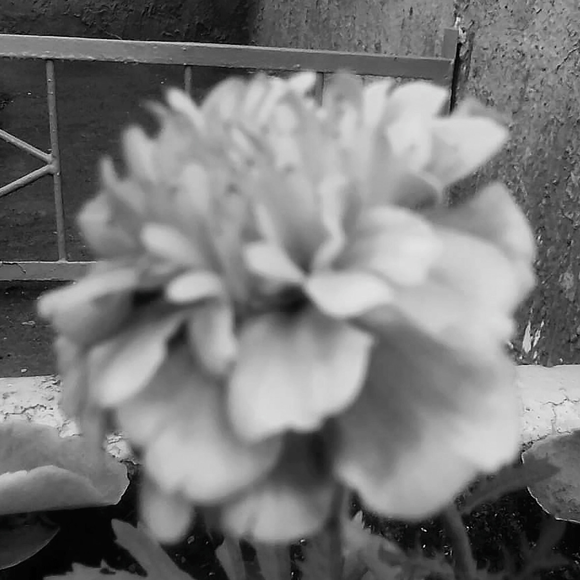 Природоведение. «ФотоСинтез»