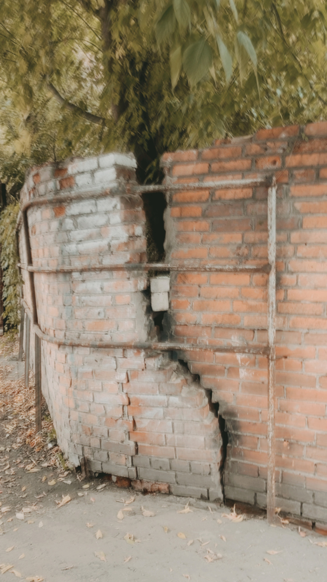 Дрейф. «ФотоСинтез»