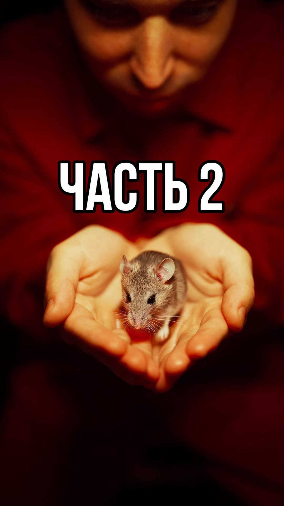 Повелитель страниц. Александр Атлес Фотограф