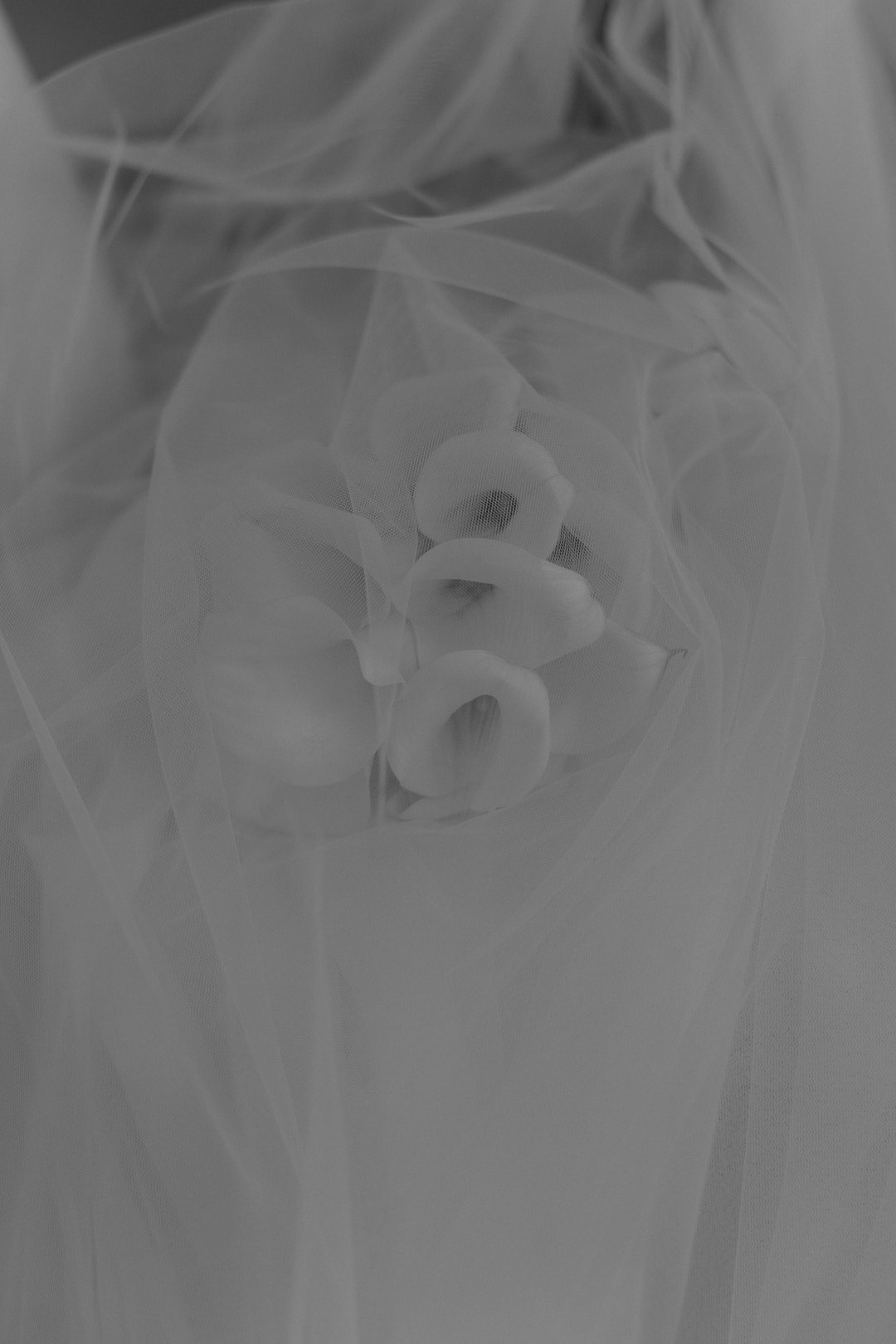 Пётр & Анастасия. Фотограф в Адыгее и Белореченске — Малина Михаил