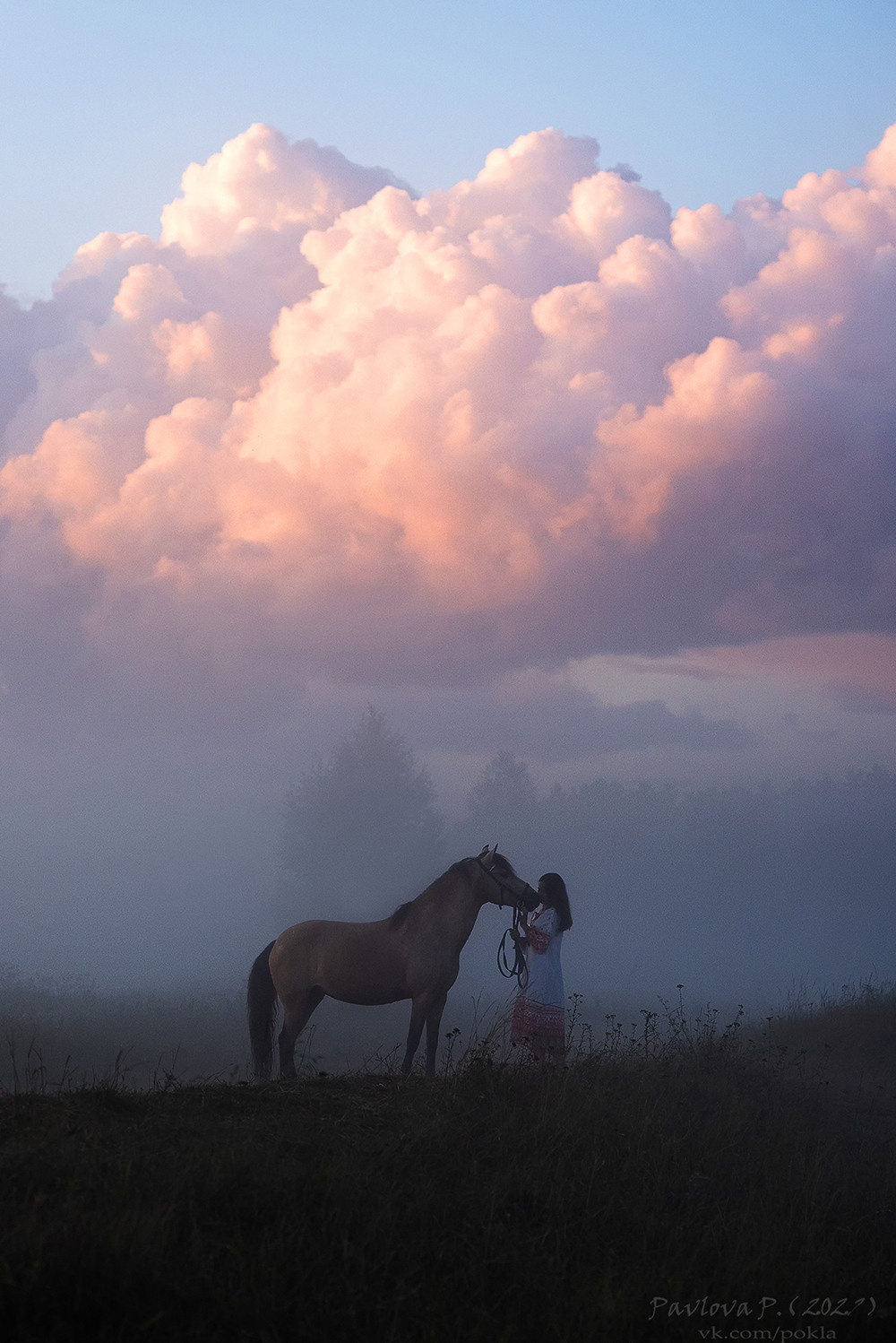 Фотограф-анималист Павлова Полина
