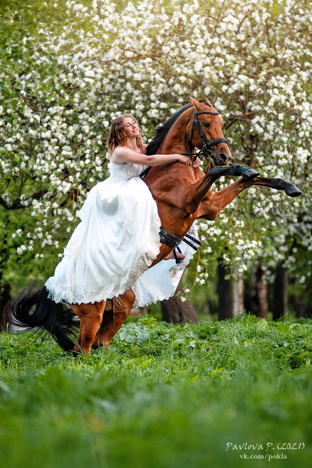 Фотограф-анималист Павлова Полина