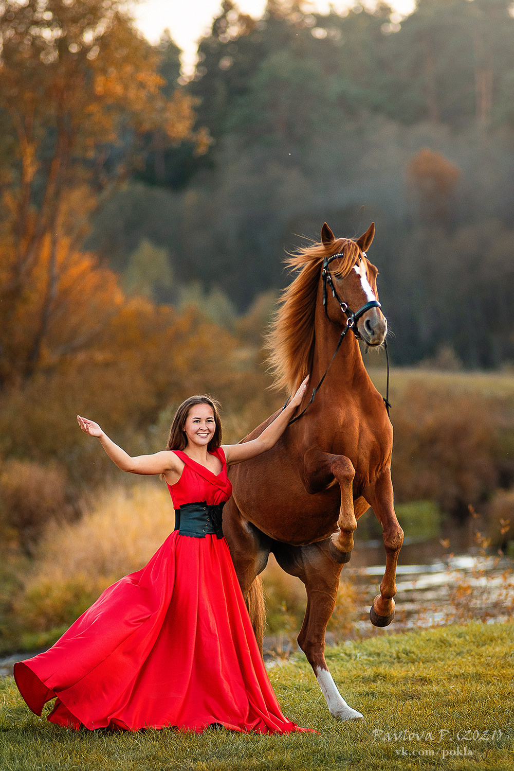 Фотограф-анималист Павлова Полина