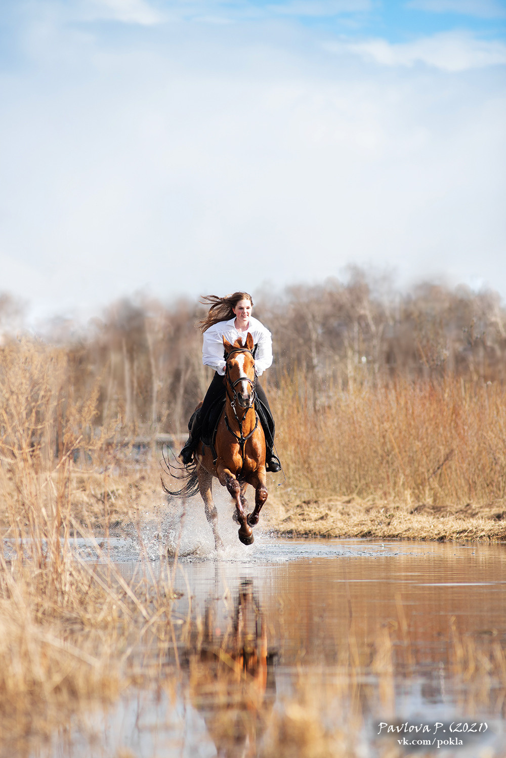 Фотограф-анималист Павлова Полина