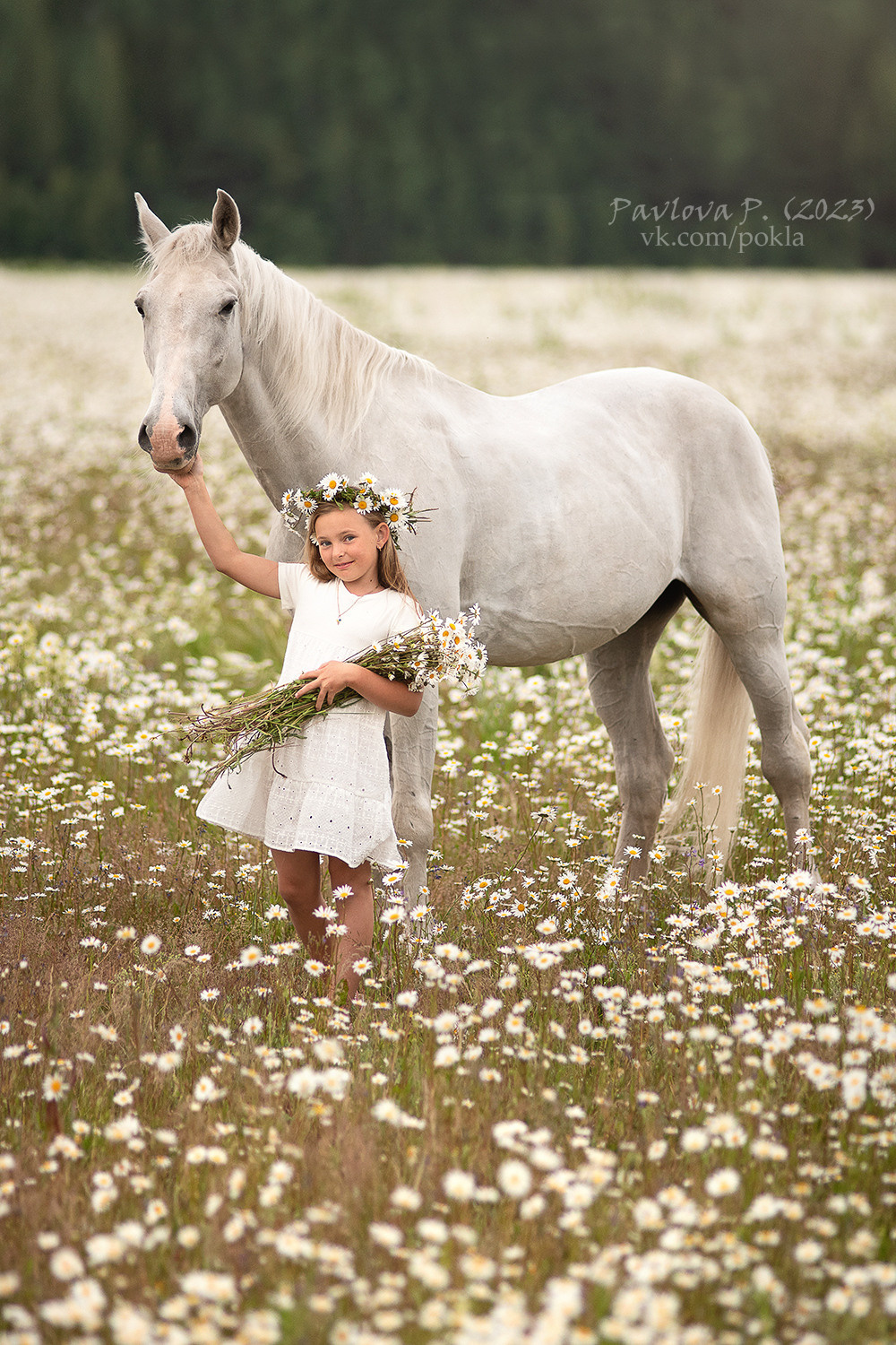 Фотограф-анималист Павлова Полина