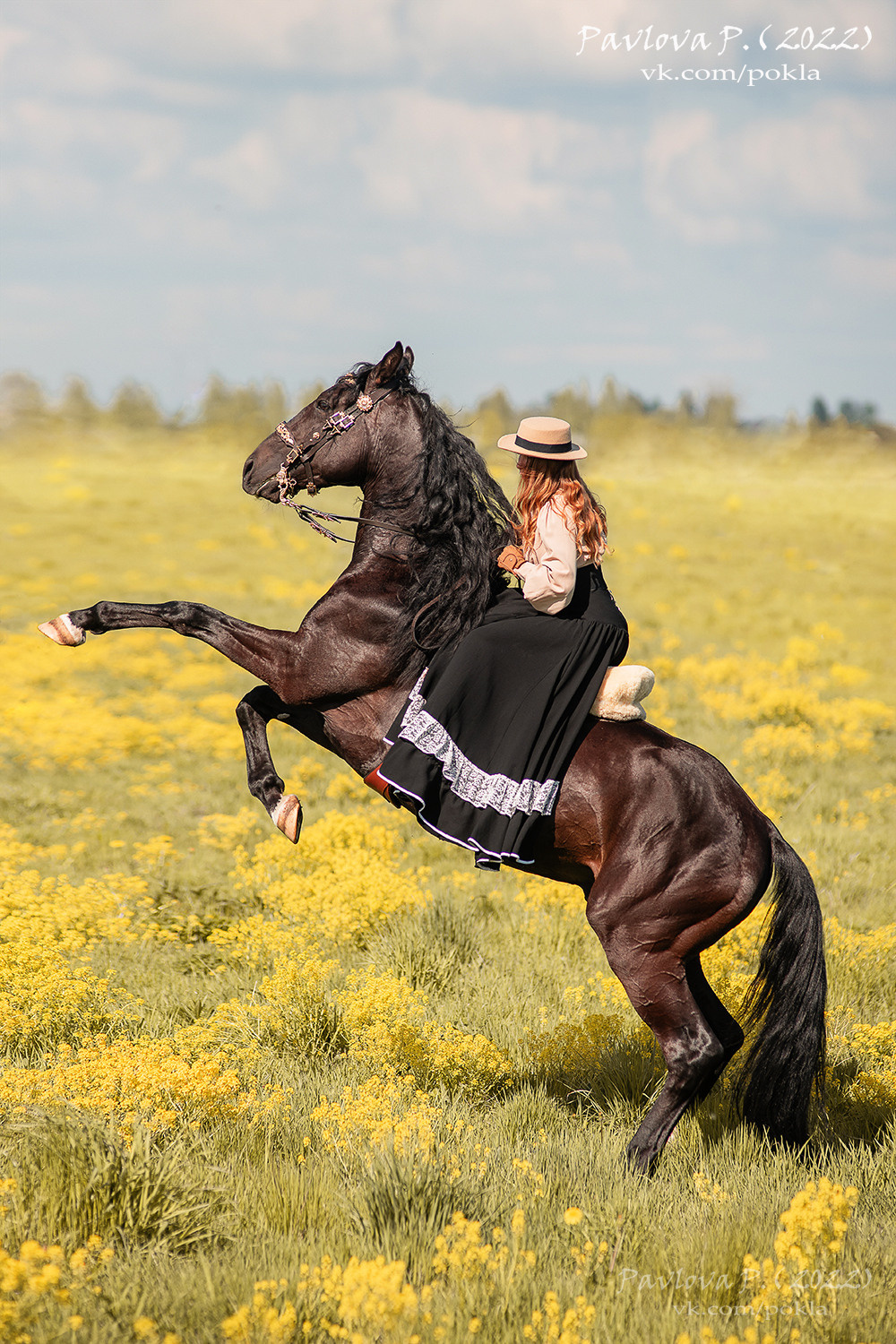 Фотограф-анималист Павлова Полина