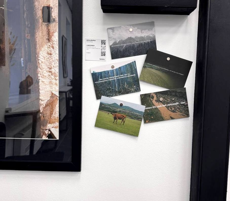 Выставки и мероприятия. Izma photos